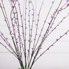 �������϶�ɫ��ѿ С����ֲ�������֦���l �b�֦�Ҿӷ������l