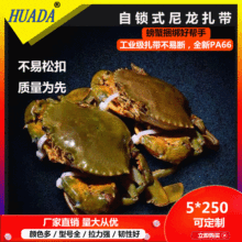 ���l�A�_�����������������iʽ�з����5*250�����K��������66