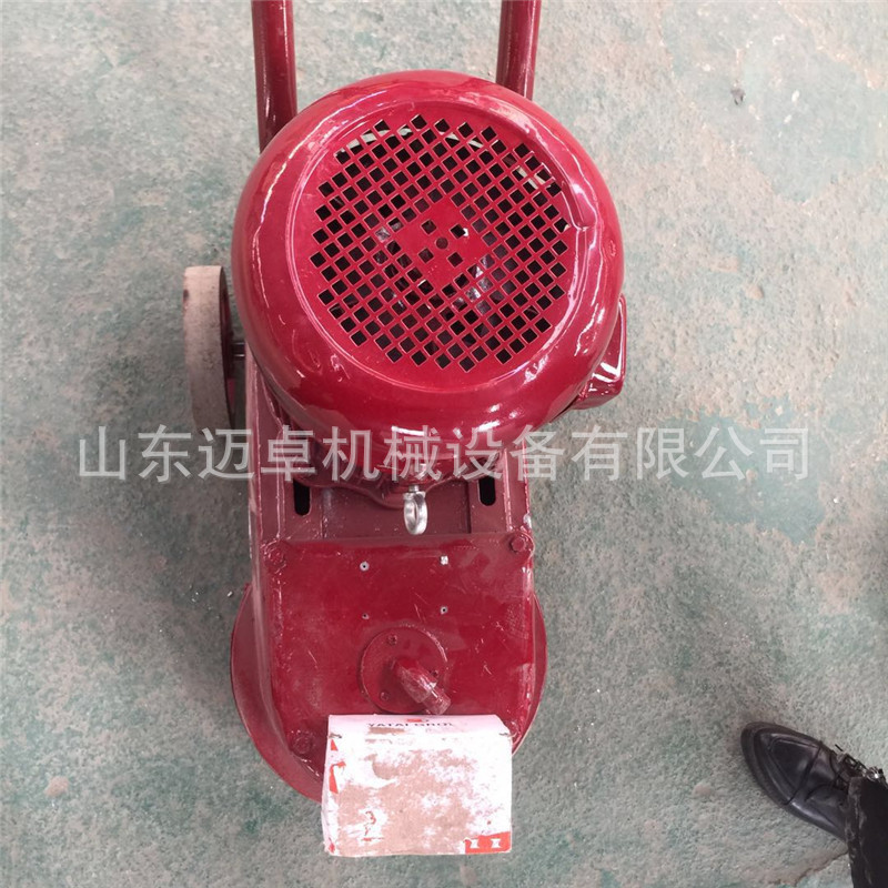 迈卓16头金刚石水磨石机 汽油水磨石机 手推式电动打磨机