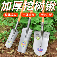 多用挖树铲锰钢加厚全钢农用铲子户外挖土铁锹铁铲挖坑挖洞工具