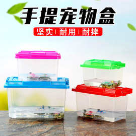 乌龟缸鱼缸透明摆摊爬虫宠物 运输饲养盒 大中小号手提塑料盒批发