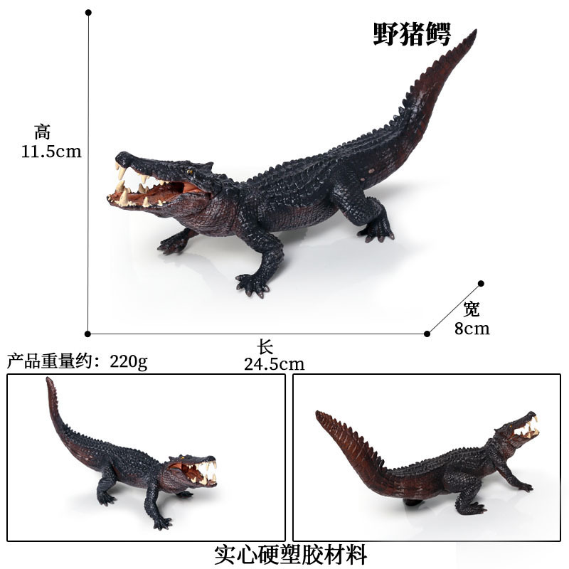 Children's Cognitive Solid Simulation Wild Amphibian Crocodile Model Wild Boar Alligator Nile Alligator Alligator Toy