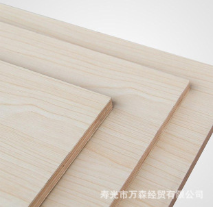 �¿�18mm�Aɫ�� /�������Ӱ��������B��ӹ������Ҿ� ����X20