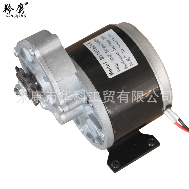 Antelope electric scooter amusement equipment agricultural machinery brush reduction motor MY1016Z24V250W