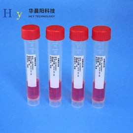 擦拭棒;细胞培养;酶