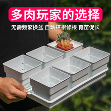 ���P�ظ�������⻨�����ϻ��脓�⻨���бP�M�Ϙ�֬���绨�����l