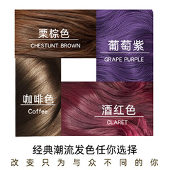 漢豐一洗彩染髮劑 一支彩栗棕色葡萄紫酒紅咖啡彩色一支彩染髮膏