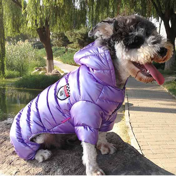 Осенние и зимние пуховики для домашних животных, одежда для собак, теплоизоляционные и морозостойкие хлопковые куртки, четырехногие пуховики, одежда для собак.