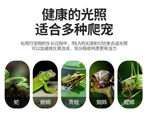 Turtle basking lamp UVA+UVB full spectrum heating bulb holder reptile insulation calcium supplement sterilization European standard round plug