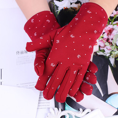 Autumn/Winter Women's Fleece Lined Butterfly Warm Thick Riding Gloves Outdoor Elastic Fashion Gloves Wholesale