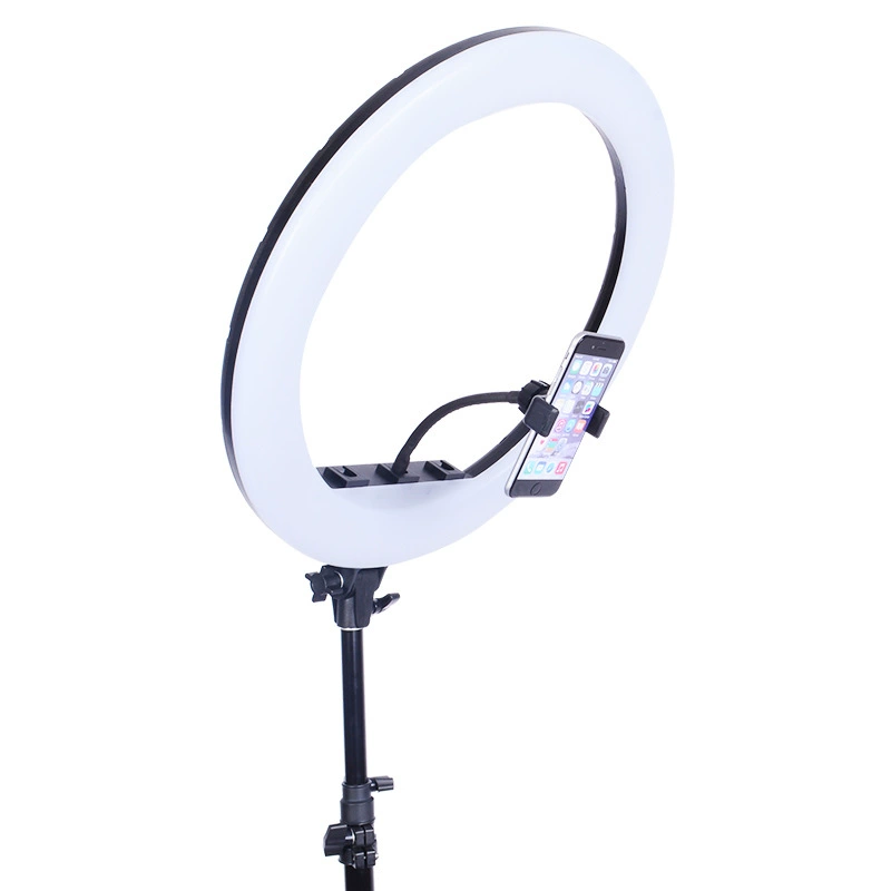 Professional fill light, equipment, lamp, 21 inch