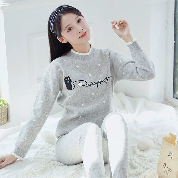 Cat gray gray