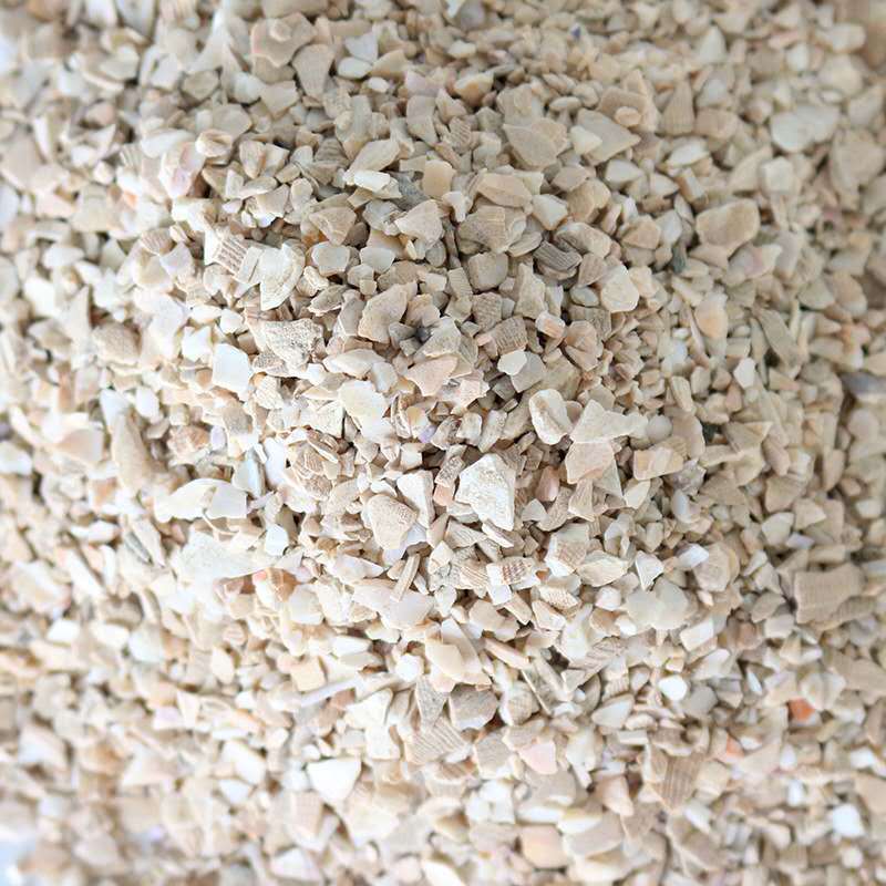 厂家供应阻燃涂料用煅烧贝壳粉 高白营养性饲料添加剂贝壳粉