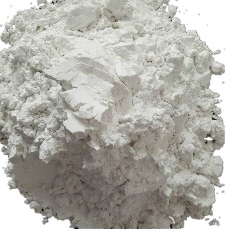 现货批发饲料级贝壳粉 煅烧贝壳粉 厂家供应饲料添加剂贝壳粉