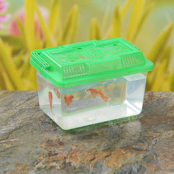 Transparent plastic ecological small fish tank Golden fish tank…