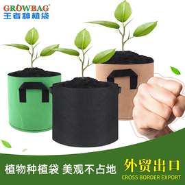 grow bag加厚无纺布种植袋美植袋花盆容器种植树袋黑色育苗加仑盆