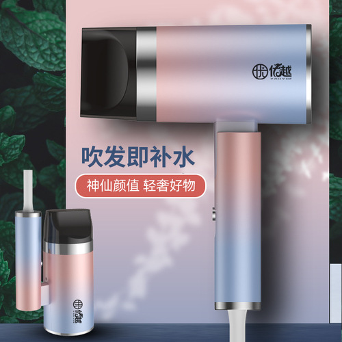 Travel Foldable Low Power Hammer Hair Dryer Home Dorm Hotel Blue Light Mini Hair Dryer Manufacturer
