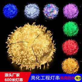 春节led灯串彩灯闪灯户外装饰批发婚庆满天星新年灯串灯带星星灯