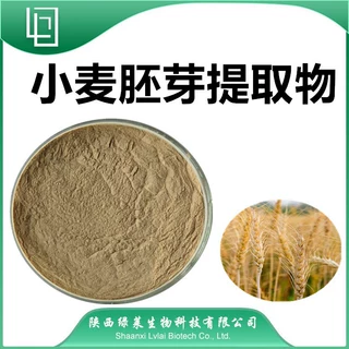 小麦胚芽提取物10：1 另有萃取小麦胚芽粉 CS认证  绿莱生物