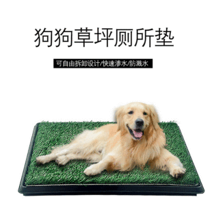 Dog Toilet Potty Pet Pee Pad Teddy Medium and Large Dog Pee Pad Training Fixed-Point Defecation Toilet Portable for Dogs