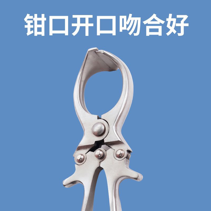 Alicates de castracion de cerdo alicates de corte pinza de huevo pequeño animal sin sangre alicates de castracion de acero inoxidable alicates de castracion veterinaria