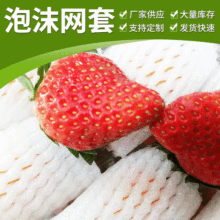 白色泡沫网多色珍珠棉网套 水果塑料泡沫网套 多色塑料网套