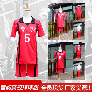 [Man crossing] volleyball junior Yin Ju High School black tail iron Lang claw grinding cosplay Jersey