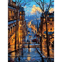 跨境涂色绘画DIY数字油画花卉风景手动油彩装饰画带框颜料厂玄关