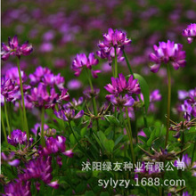 ���l���ݲ��� �������M�� ��ʺ��ϻ���ޣ����  �o���ļ����ݲ���