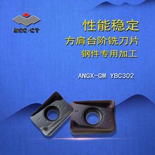 ZCCCTʯ㊵Ƭ/̨A㊵ƬAPGXϵ/ ANGX-GM/LH