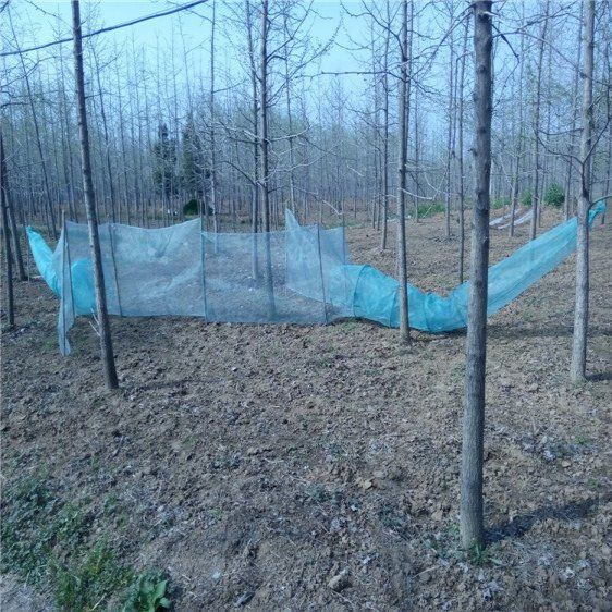 Red de bloqueo de Río Boca de tigre manga neta red de pesca red de ocho caracteres red de pesca jaula de pesca artes de pesca aviones Net bambú caña de la langosta jaula