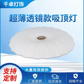 吊灯;吸顶灯;地脚/墙脚灯