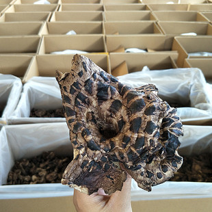 ��؛Ұ���ڻ��ƾ���؛���ƹ����Ұ�����I�B�Ҝ��������Ӿ�