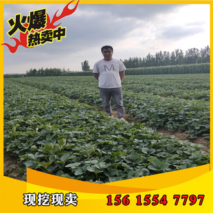 �Լ������������ݮ�� Ó����ݮ����� �ײ�ݮ�����П��u��