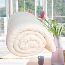 【厂家直销】新疆棉被 居家床上用品幼儿园学生用品棉絮棉胎2斤