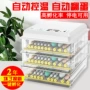 机智外贸农场养殖孵蛋机