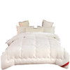 Winter duvet for elementary school students, bedspread, increased thickness, Birthday gift