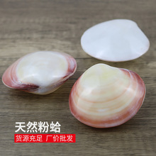 �۸��ؐ����Ȼؐ�������p����������������նY��Ҿӹ�ˇƷ�[��