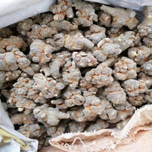 振兴药材中药材批发供应文山35三七直销