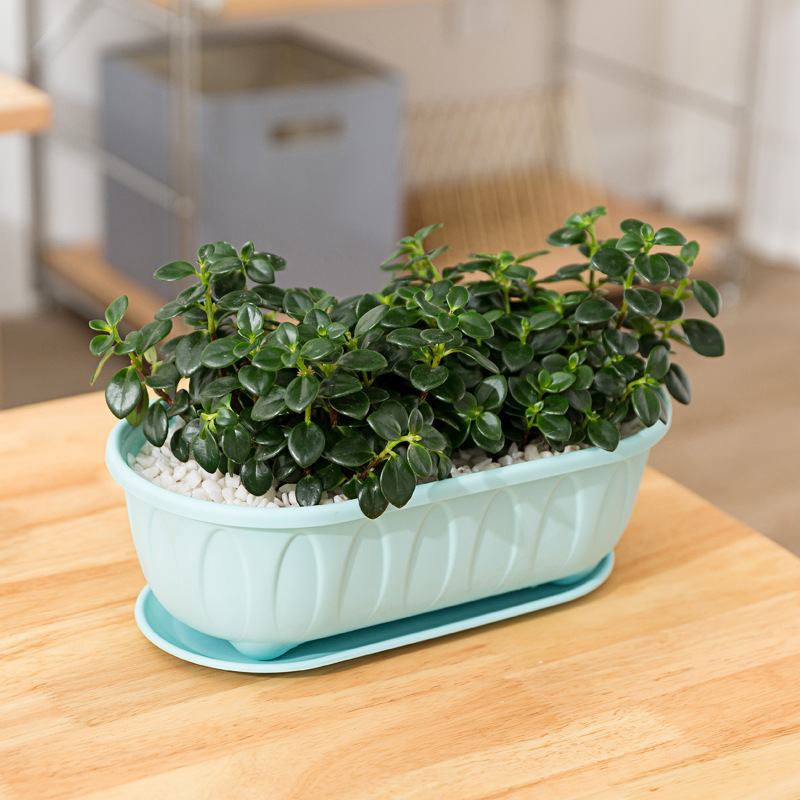 Maceta Panda olla de plástico rectangular olla de verduras olla larga balcón vegetal caja de plantación engrosada resina titular de la maceta