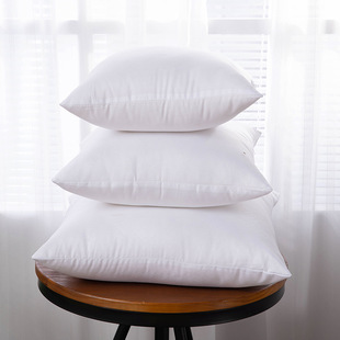 Factory direct wholesale washable pp cotton pillow home office cushion pillow 45*45 30*5050*50