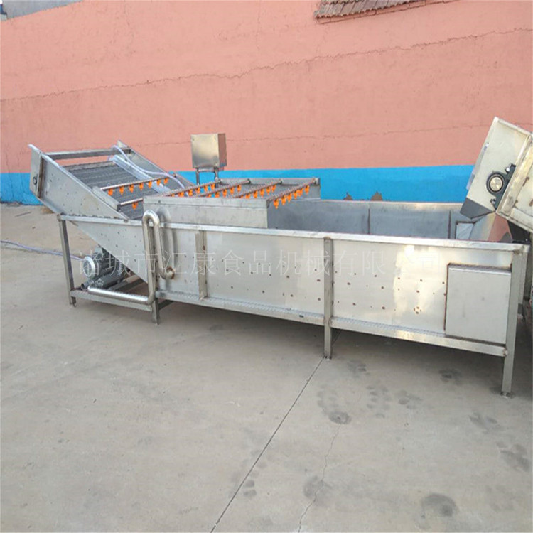 全自动臭氧清洗机 果蔬臭氧气泡清洗机 喷淋消毒清洗机自动出料