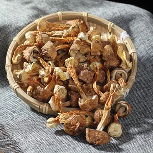Yunnan Yunnan и Fujian Family 100 грамм производителей упаковки Direct Supplier Super Brazil Mushroom Fresh Gangsato