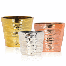 �´�����Ҿӷ��滨�@ˇ�僻������ɫ�A�Θ�Ƥ�y������⻨��