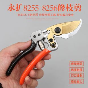 ʡ����������ޘ�֦����sk5֦���������֦���O�������ј���֦��