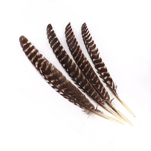 �F؛�S�����l33-35���׾��x�����u����ë����������ë�Pdiy