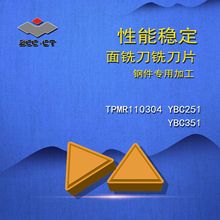 ZCCCTʯ㊵Ƭ/㊵ƬTPMRϵYBC251/TPMR110304