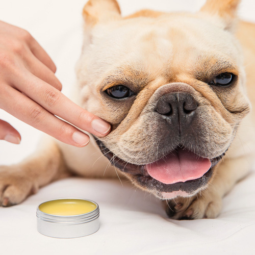 Amo Petric Pet Tear Cream Foot Cream Dog and Cat Cream Avocado Nose Cream Gold Dermatitis Cream Amo Petric