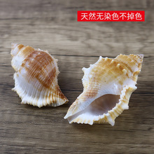 ��Ȼ����Сؐ���̴����L������diy��c�Ĕz�����~���쾰�b����l