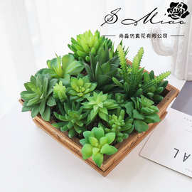 017多肉创意DIY用品假花厂家直供室内装饰人造绿植假花盆景配